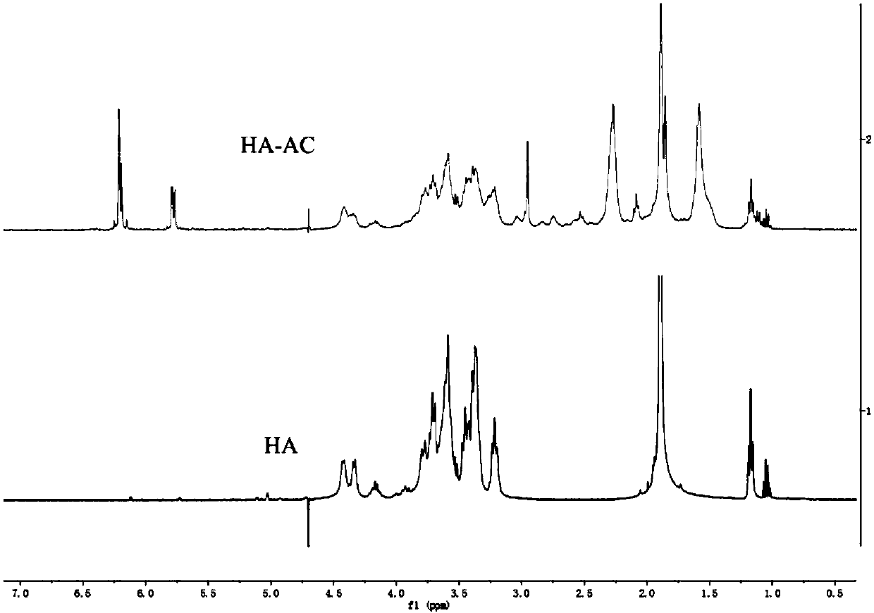 Method for preparing lipidosome/gel composite gene activation scaffold