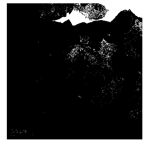 Method for preparing poly 1,5-diamino-anthraquinone modified graphene nanometer composite material