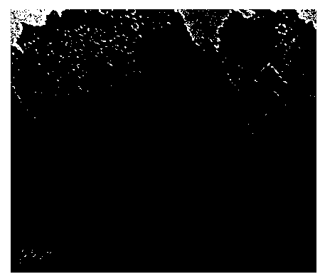 Method for preparing poly 1,5-diamino-anthraquinone modified graphene nanometer composite material