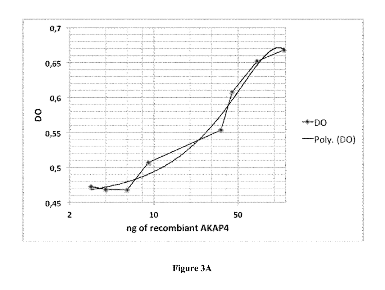 Methods for determining human sperm quality