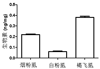 Method for measuring content of in vivo biotin of insect