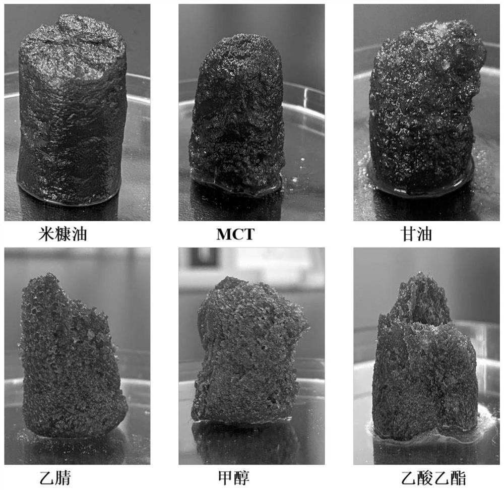 Rice bran protein porous material and application thereof