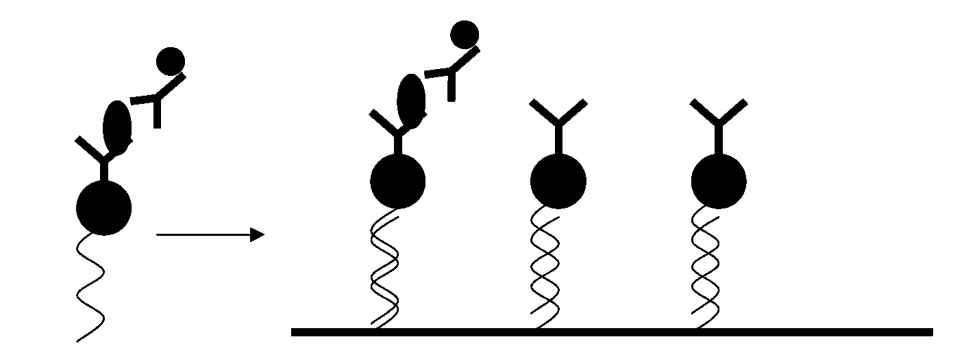 High flux detection method and biochip based on nucleic acid address coding