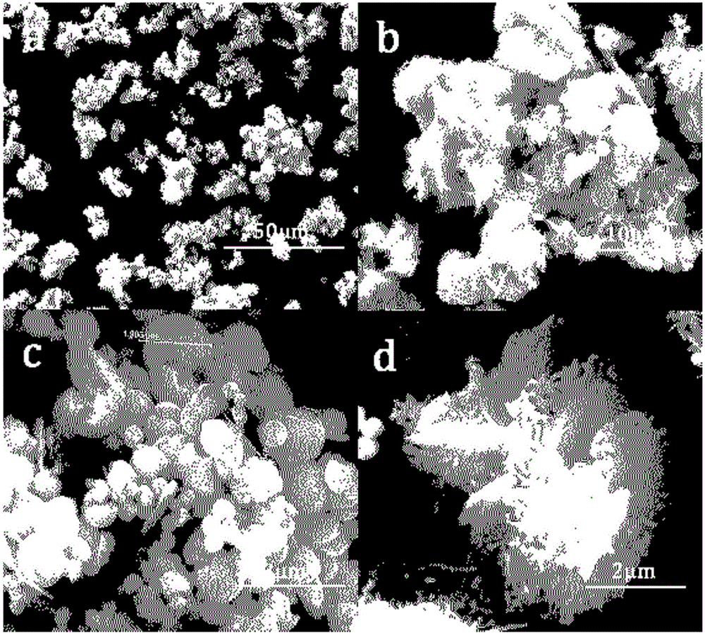 Alpha/beta-bismuth oxide phase heterojunction photocatalyst as well as preparation method and application thereof