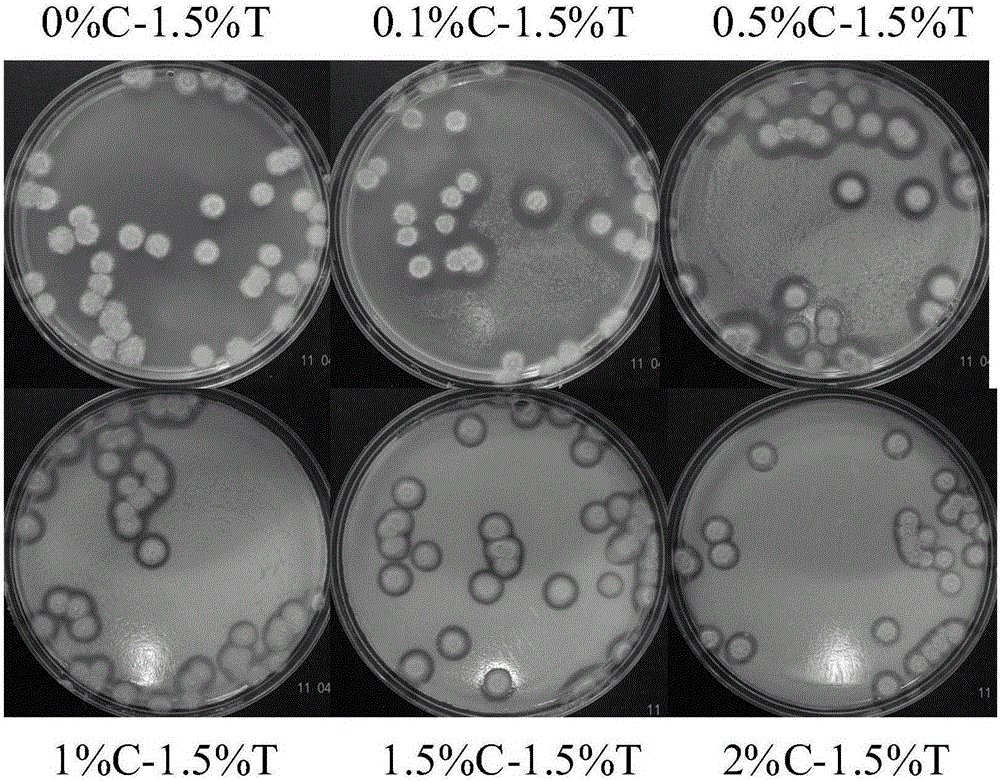 Trichoderma strain capable of generating cellulase and application of trichoderma strain