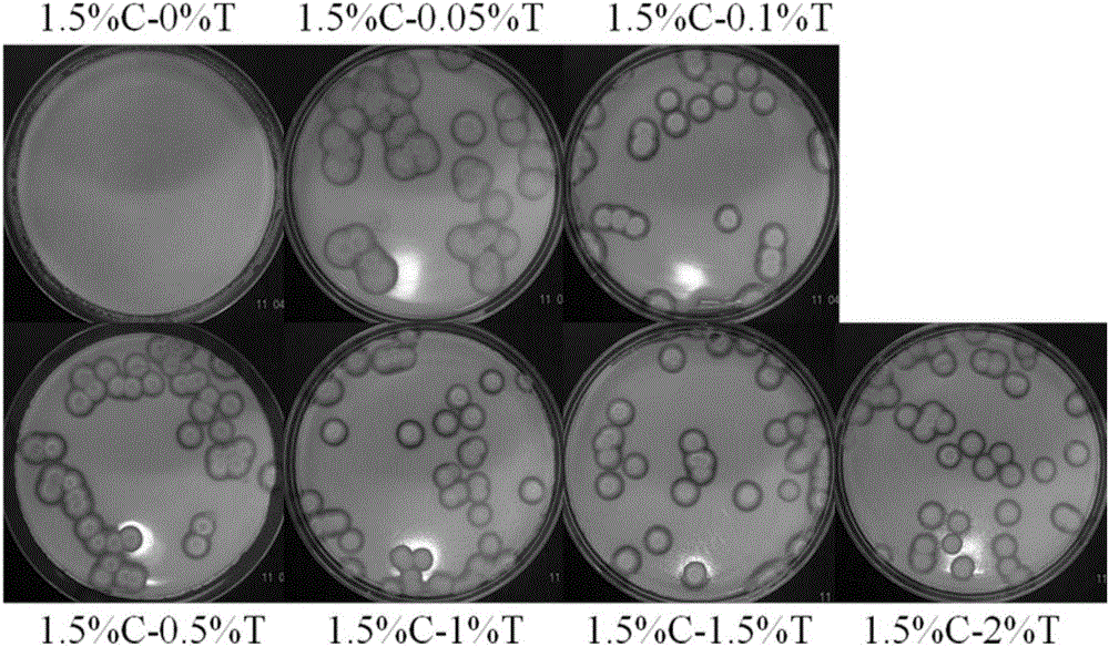 Trichoderma strain capable of generating cellulase and application of trichoderma strain