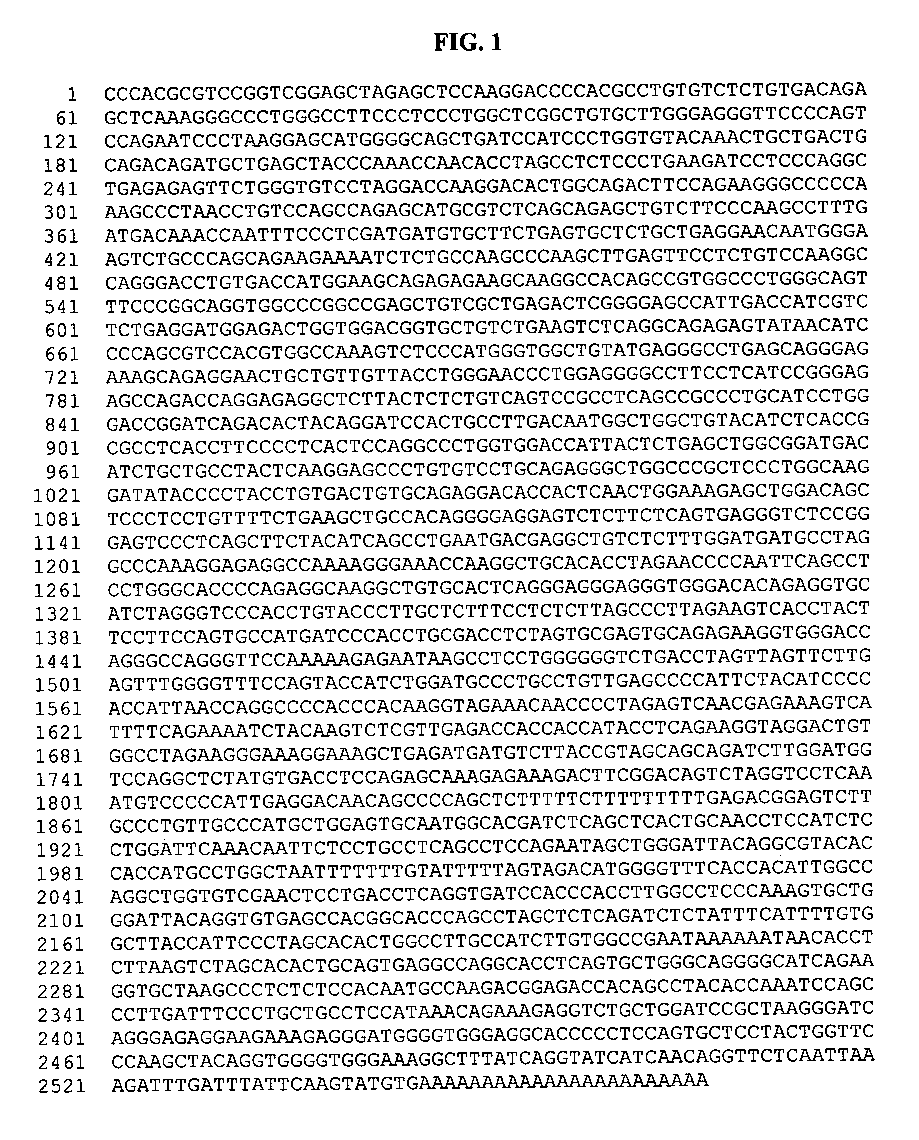 Human SLAP-2: a novel SH2/ SH3 domain-containing human SLAP homologue having immune cell-specific expression