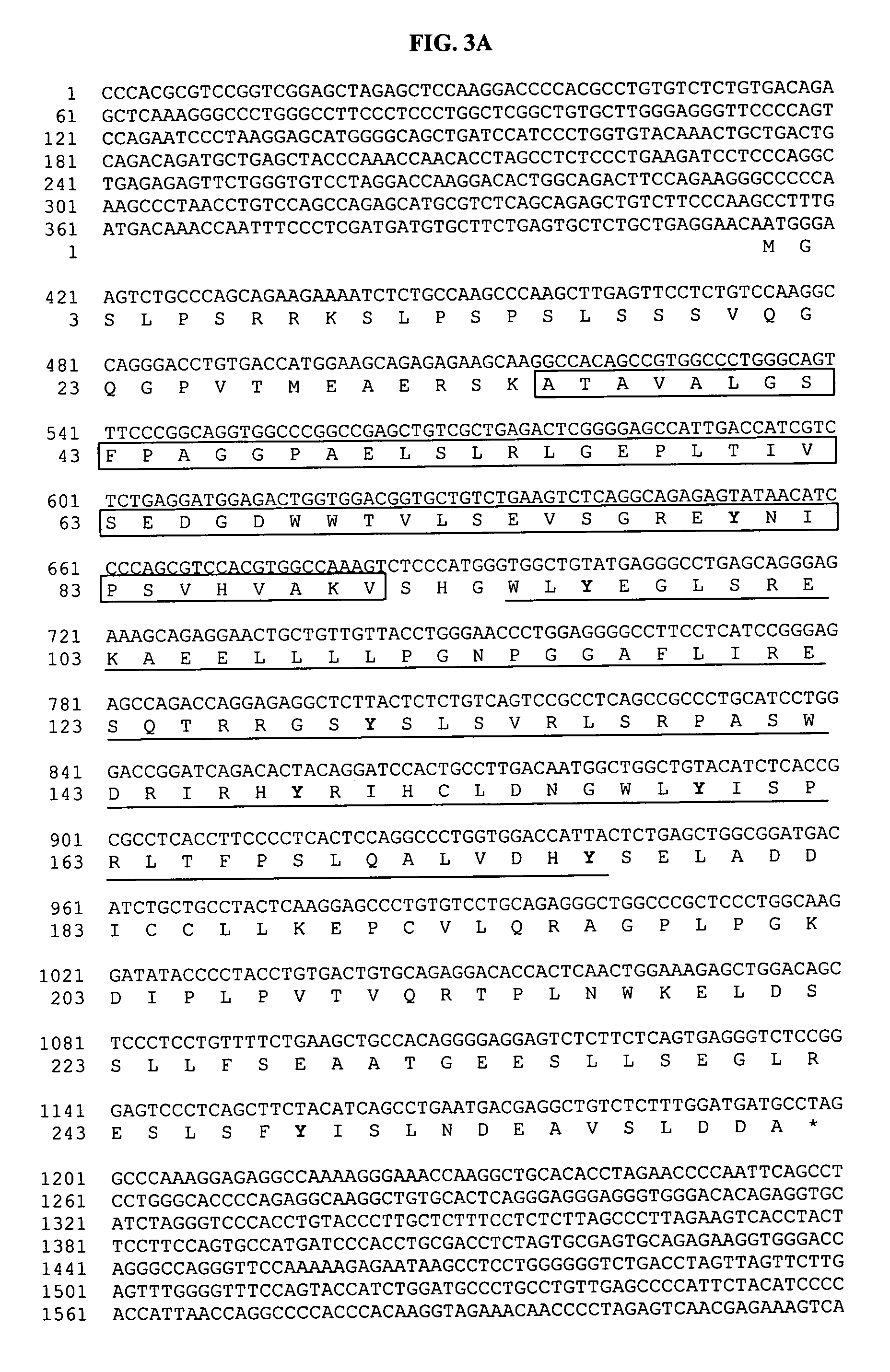 Human SLAP-2: a novel SH2/ SH3 domain-containing human SLAP homologue having immune cell-specific expression