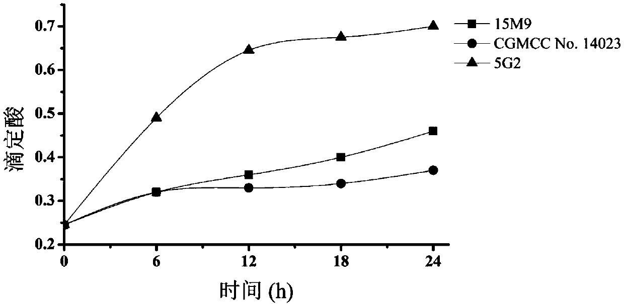 Lactobacillus paracasei and application thereof