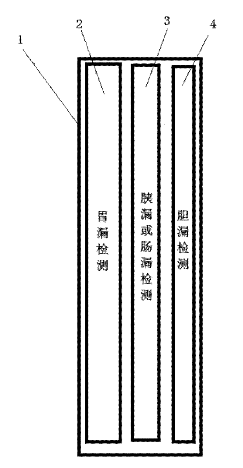 Drainage tube capable of testing leakage of digestive juice