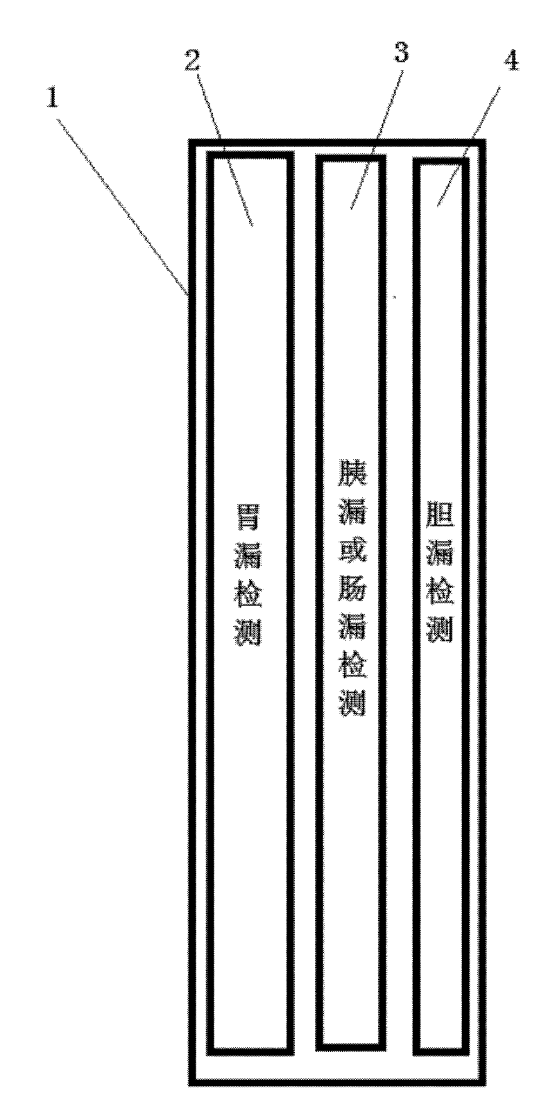 Drainage tube capable of testing leakage of digestive juice