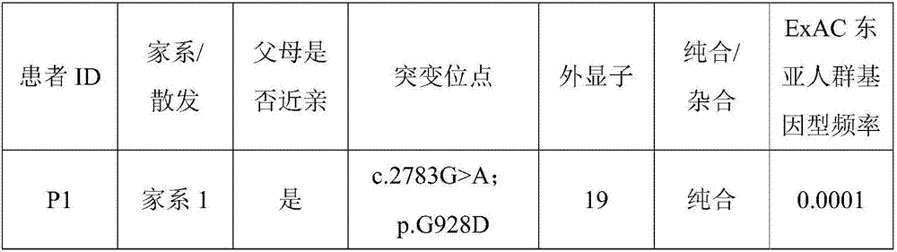 Novel azoospermia pathogenic gene and application thereof