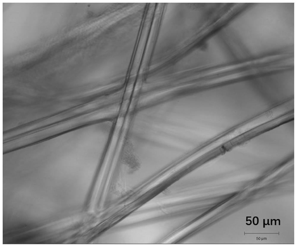 A kind of preparation method of mineralized flat silk sewage treatment membrane