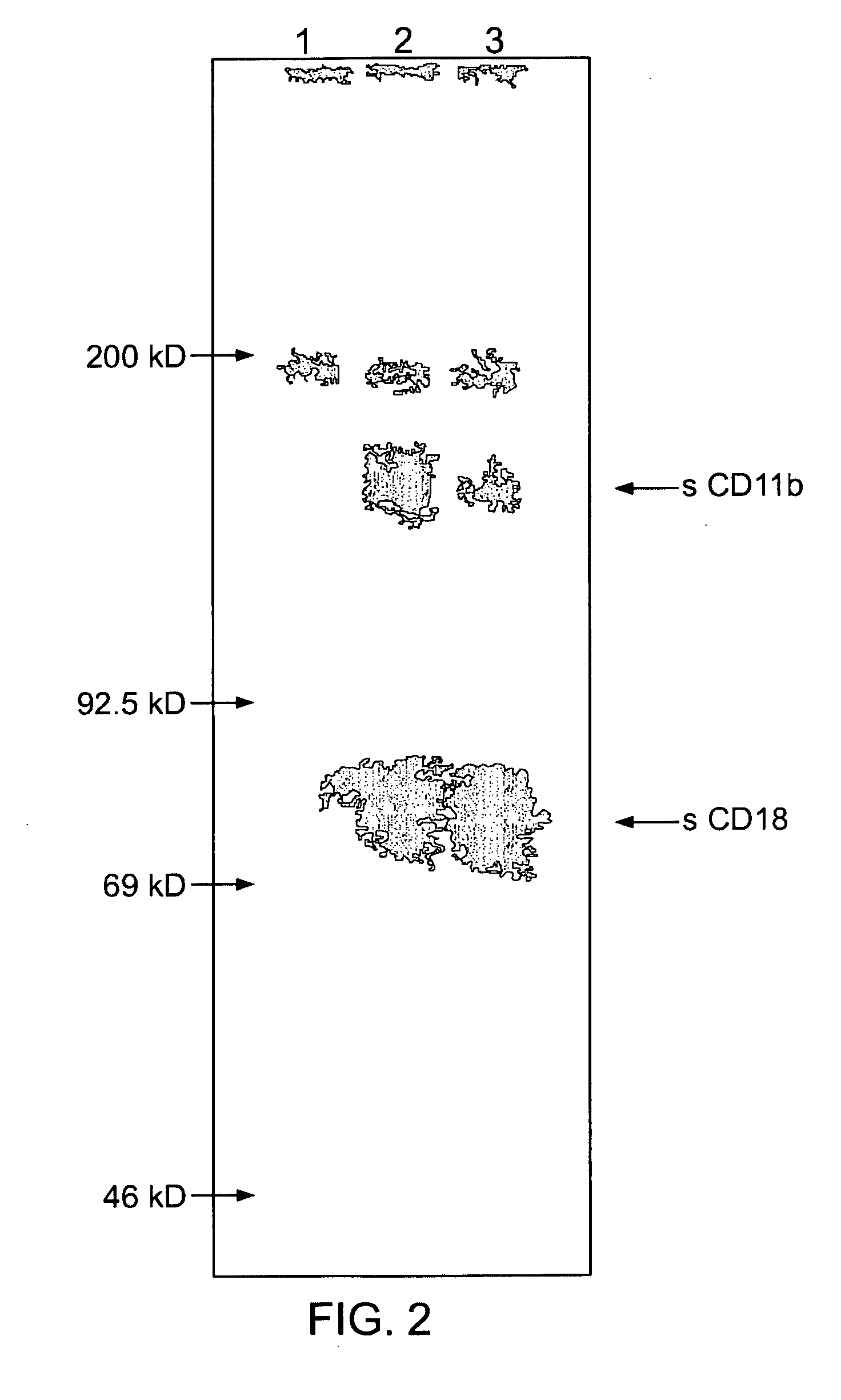 Method for indentifying integrin antagonists