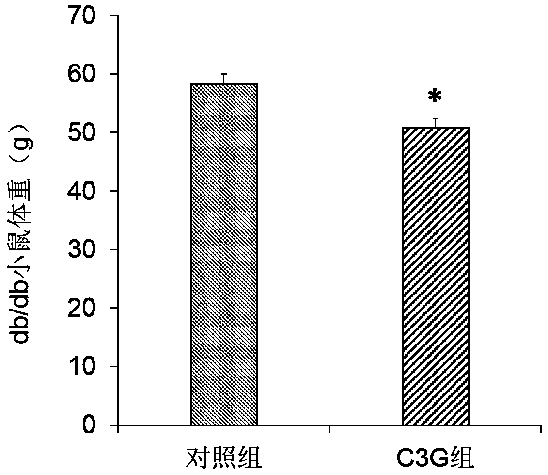 Application of cyanidin-3-oxy-glucoside in medicine for treating obesity and related diseases