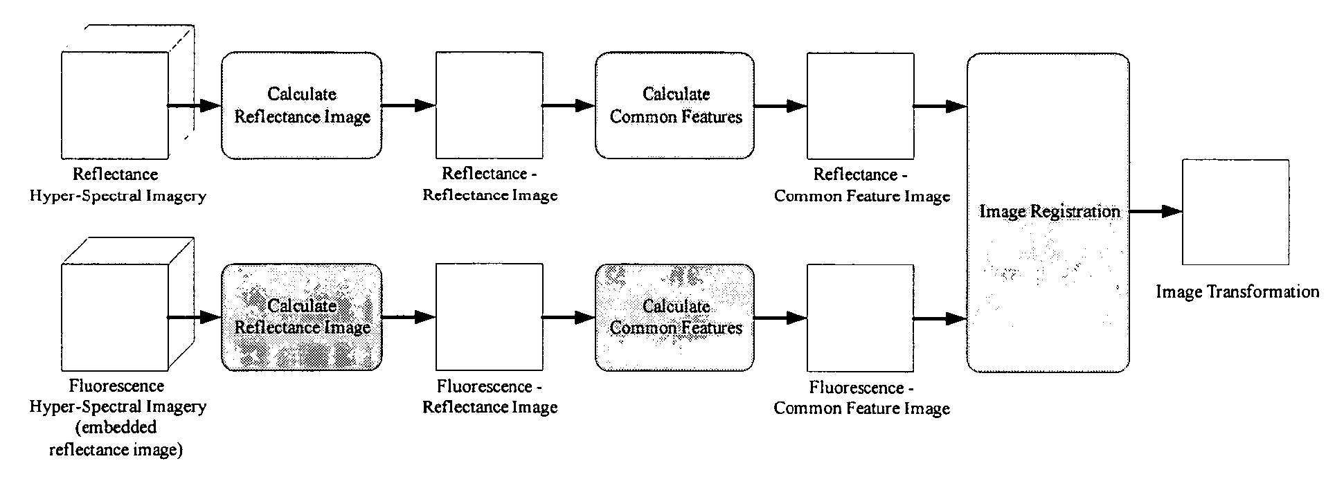 Systems and methods for registering reflectance and fluorescence hyperspectral imagery