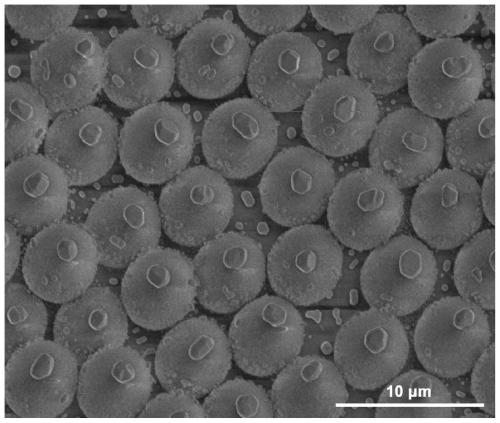 Artificial micro-nano robot and preparation method thereof