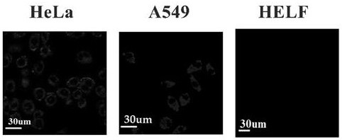 A glutathione-responsive fluorobodipyrrole anticancer photosensitizer and its preparation and application