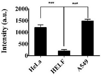 A glutathione-responsive fluorobodipyrrole anticancer photosensitizer and its preparation and application