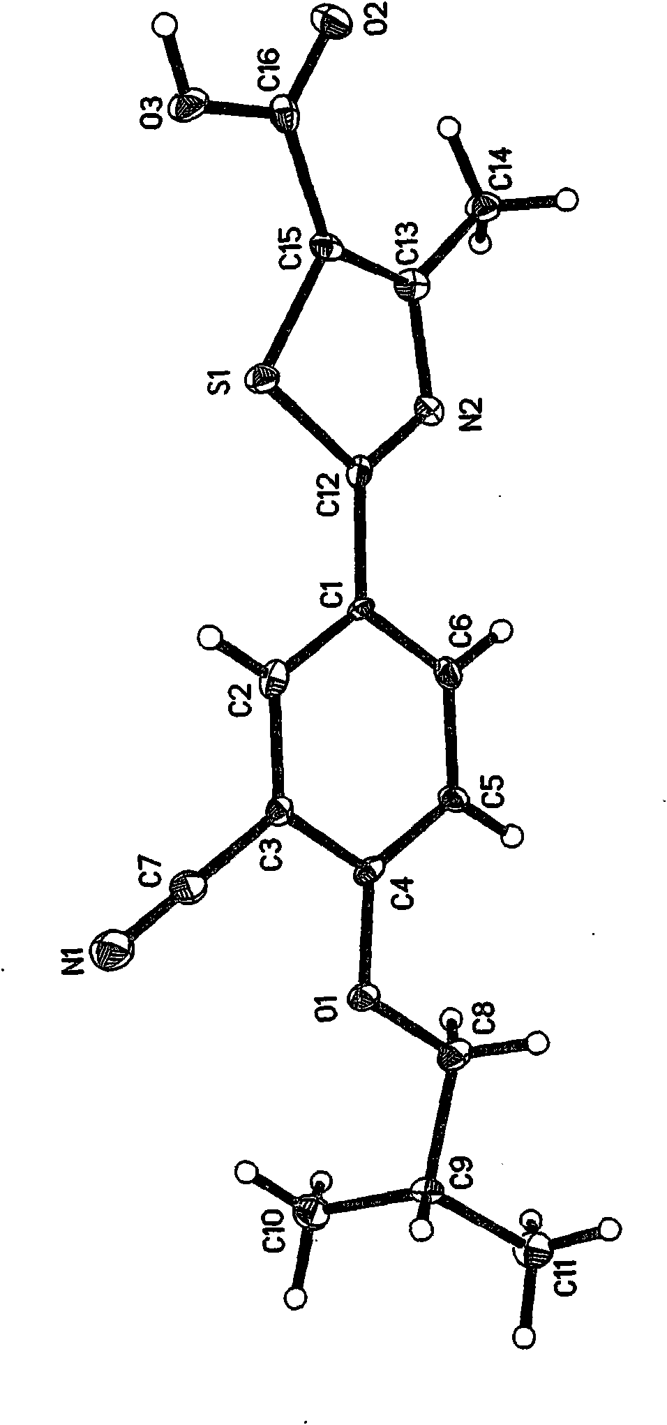 Febuxostat and drug combination thereof