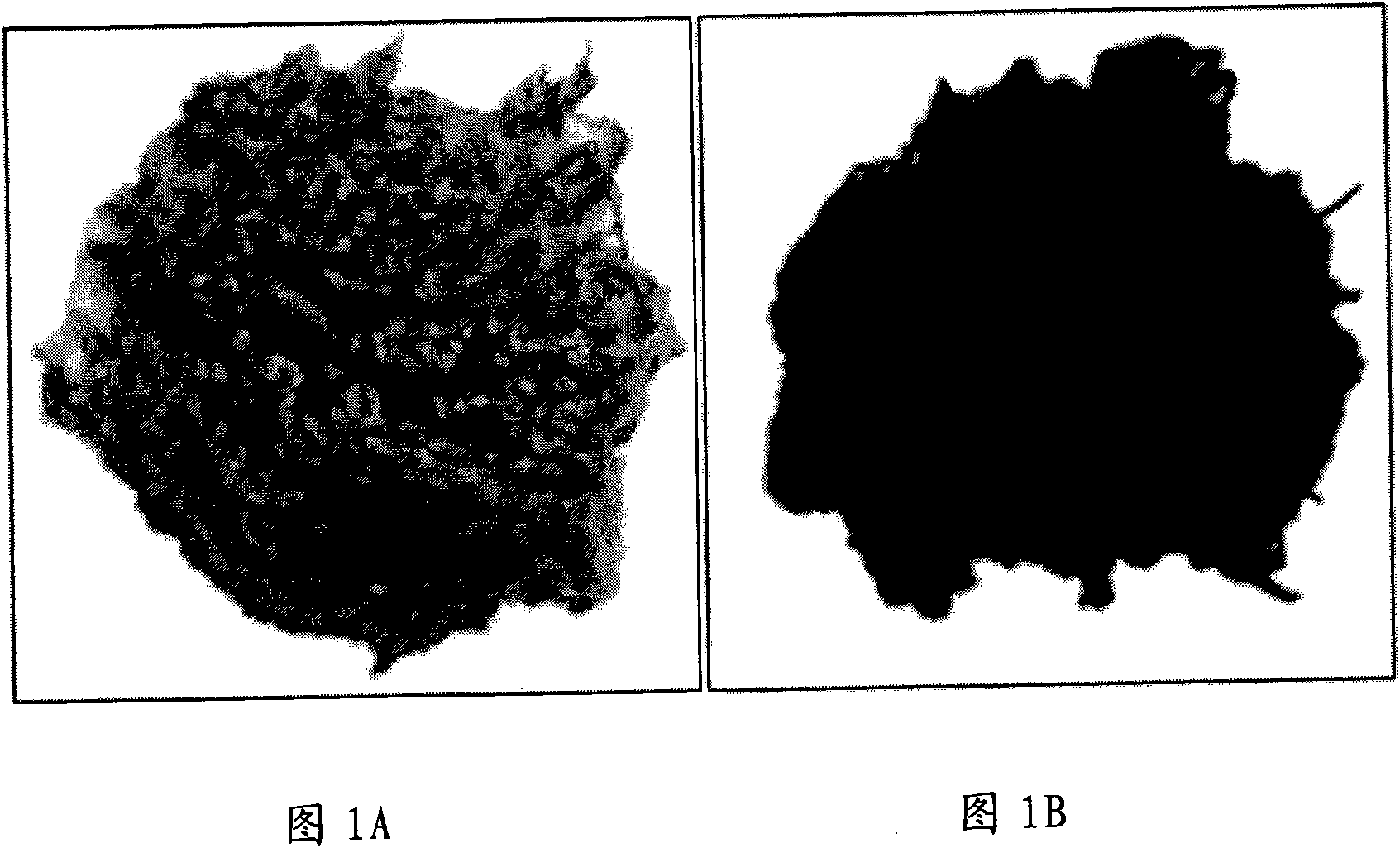 Cationic dye chromophilous copolyester fibre dyeing assistant and dyeing method using same