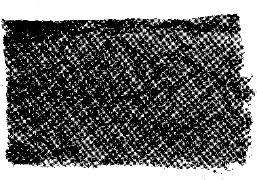 Cationic dye chromophilous copolyester fibre dyeing assistant and dyeing method using same