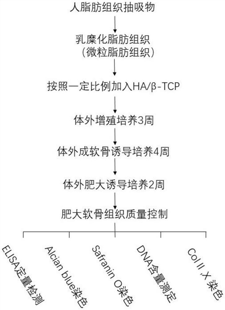 Method for direct regeneration of hypertrophic cartilage tissue using adipose tissue and scaffold material