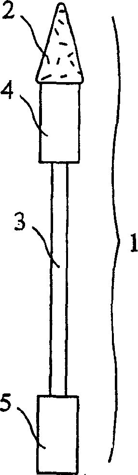 Instrument for collecting and recovering saliva