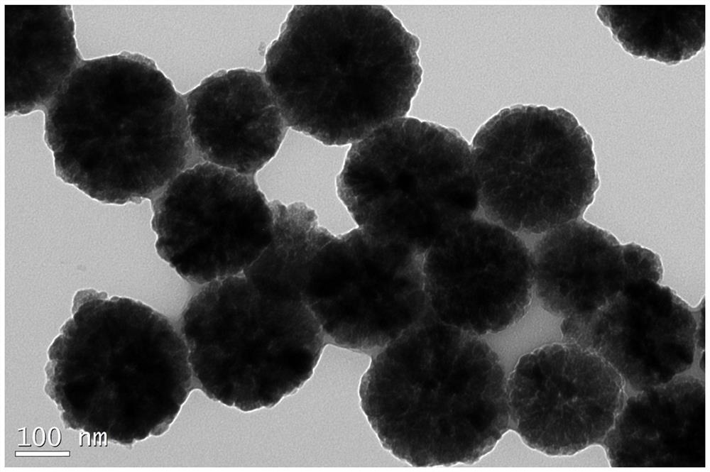 Hydrophilic hyperbranched polyglycidyl ether anion magnetic adsorbent as well as preparation method and application thereof