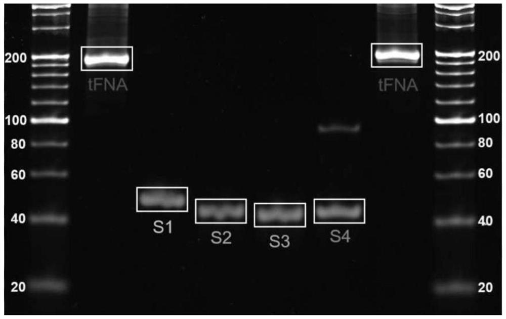 A neuroprotective drug for ischemic stroke