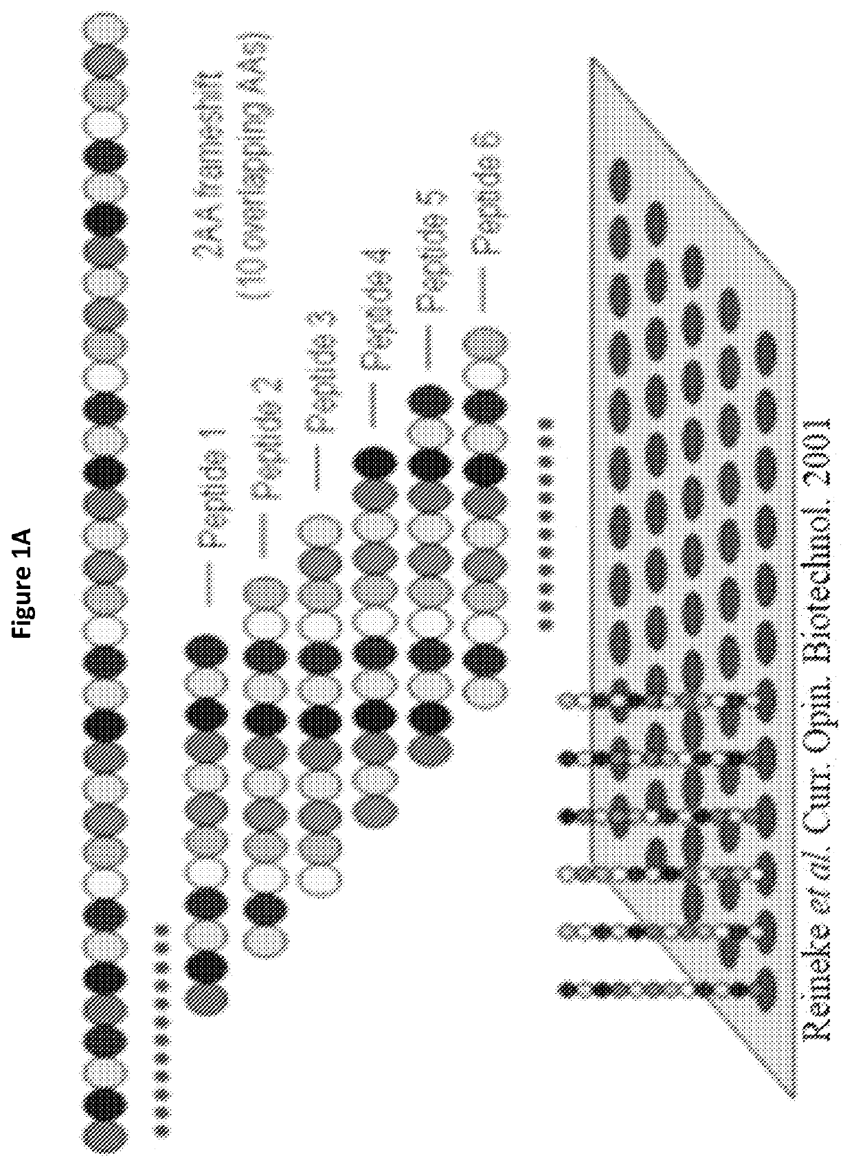 Mutant vaccinia viruses and use thereof