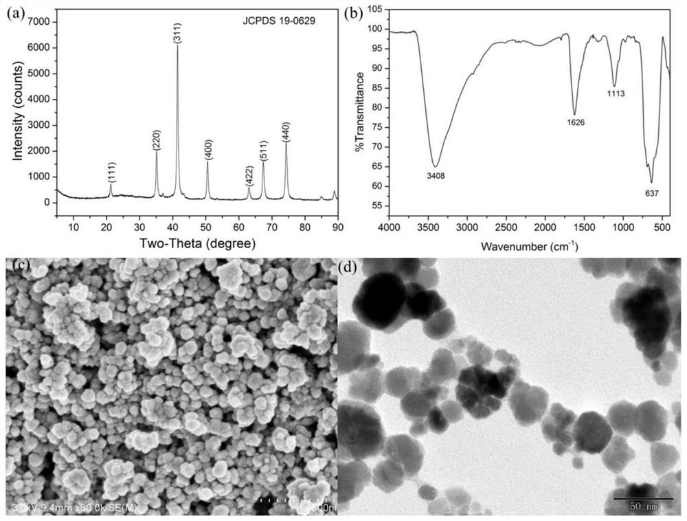 Immobilization method for improving biological hydrogen synthesis of hydrogen-producing bacteria and application