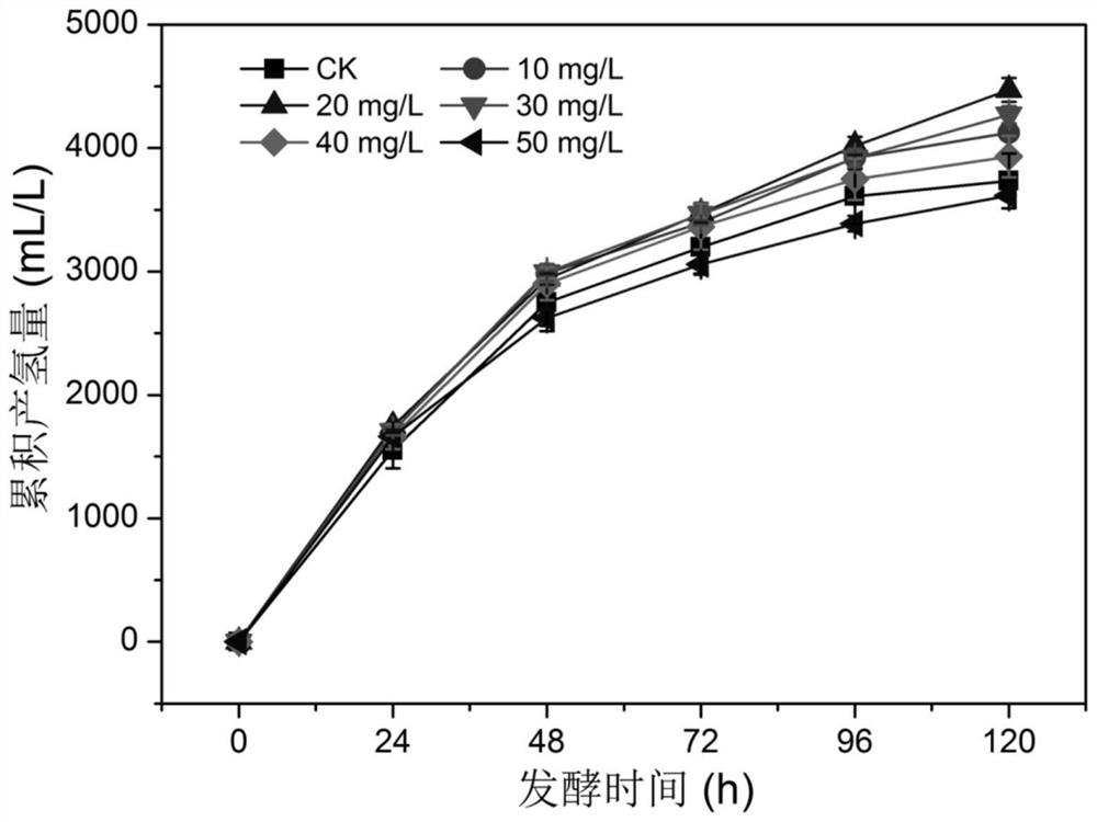 Immobilization method for improving biological hydrogen synthesis of hydrogen-producing bacteria and application