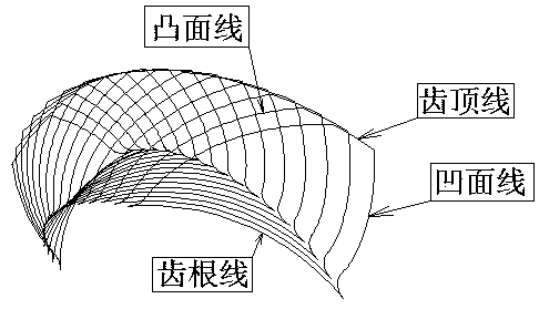 Method for calculating chamfering of tooth tip of spiral bevel gear based on discretization of curved surface