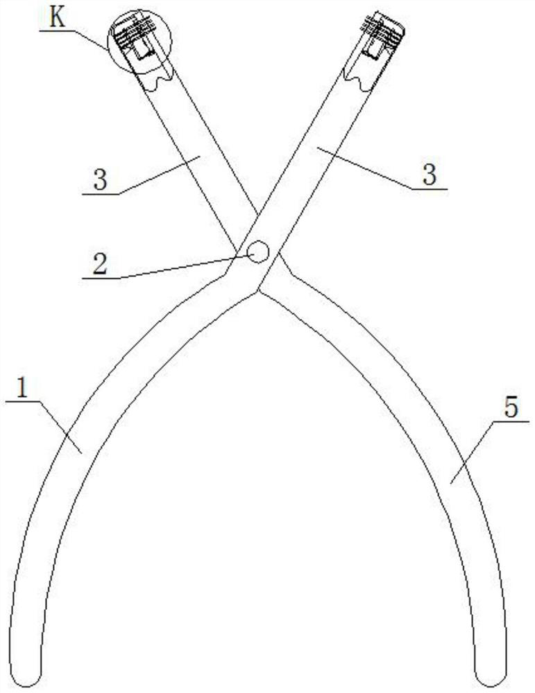 Dental forceps for alveolar surgery and use method thereof