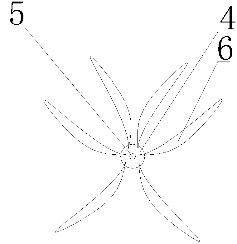 A method for the establishment of giant macrobrachium aquarium family and the standardized breeding of seedlings