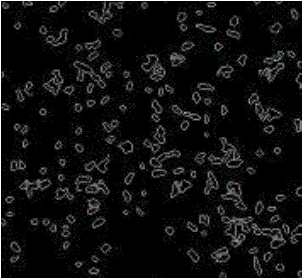 Coal dust image identification method