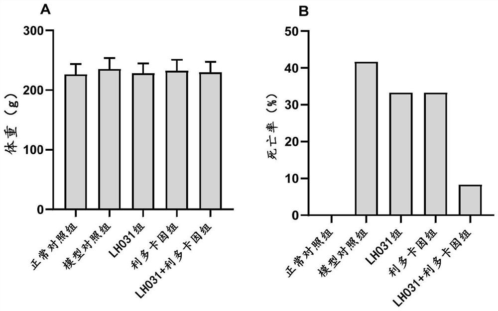 Pharmaceutical composition and application thereof in preparation of medicine for treating acute lung injury