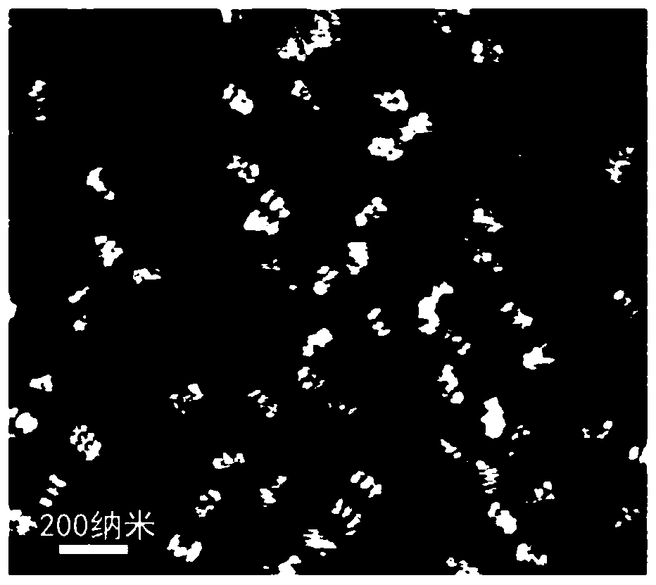 A kind of nucleic acid protein nanocomposite and its preparation method and application