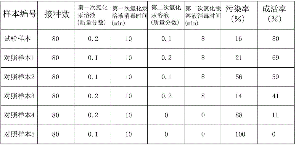 Phalaenopsis culture propagation method