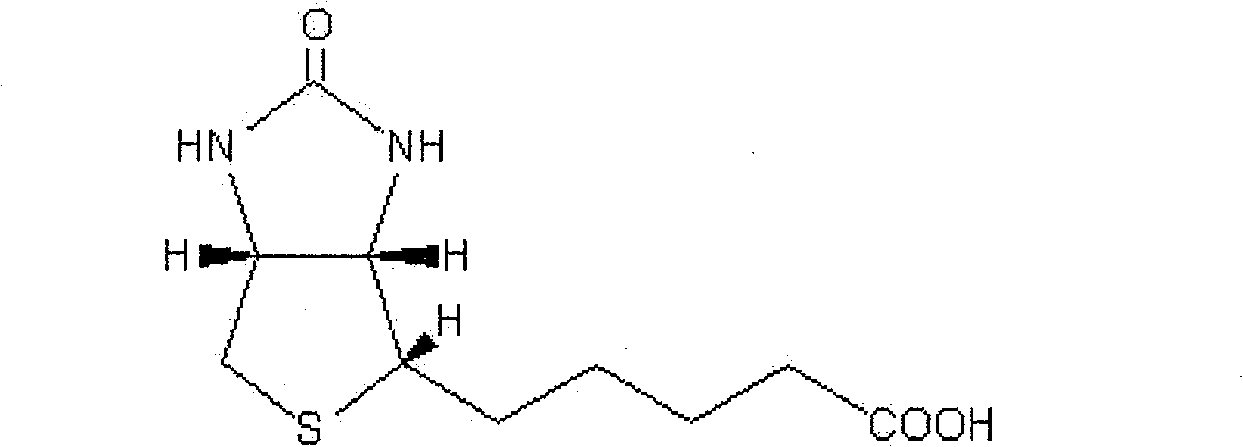 Biotinylated pulullan polysaccharide nanometer grains and the preparation method