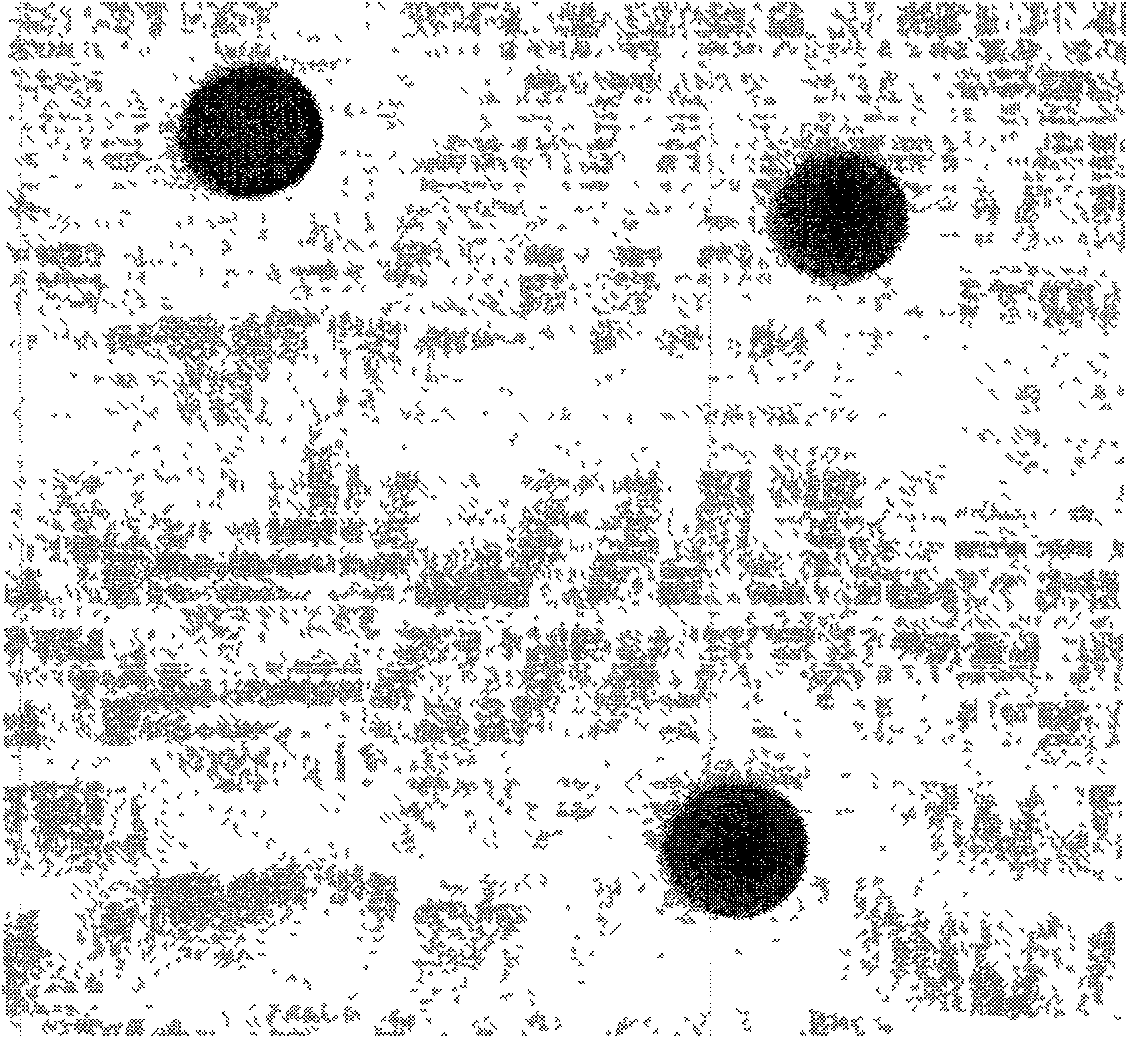 Biotinylated pulullan polysaccharide nanometer grains and the preparation method