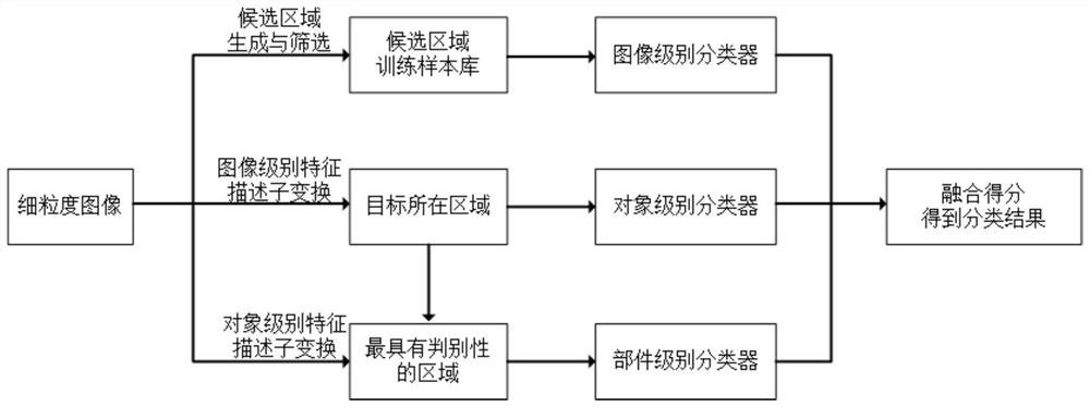 A Weakly Supervised Fine-Grained Image Classification Method Based on Hierarchical Feature Transform