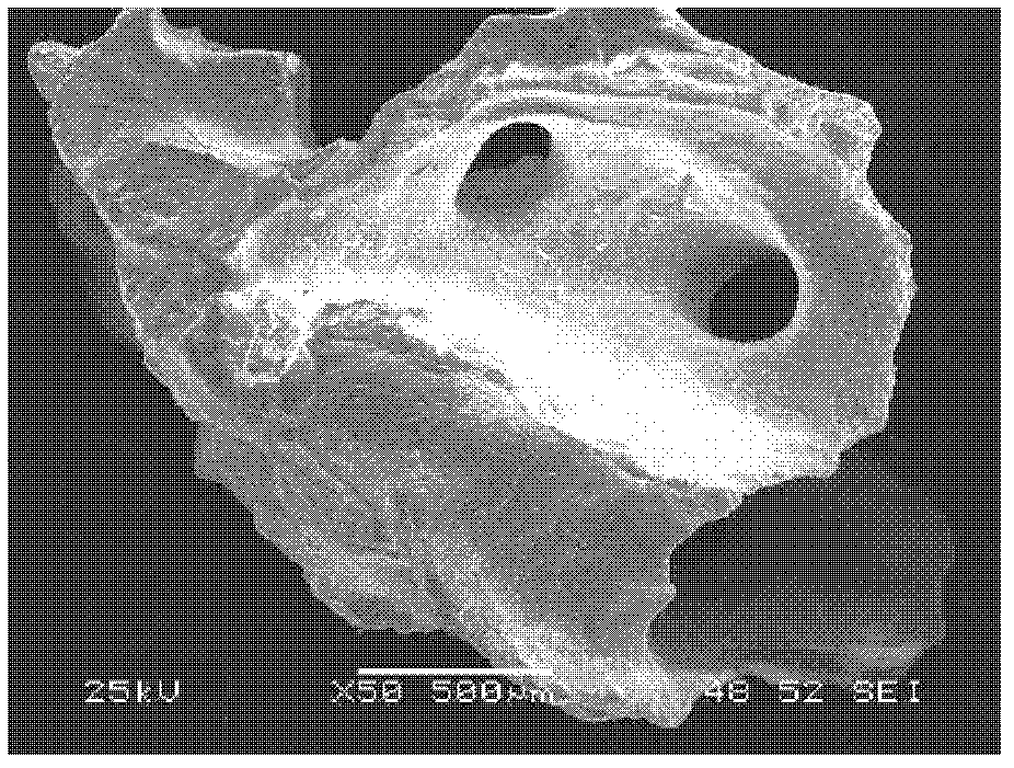 Method for preparing natural bone repairing material