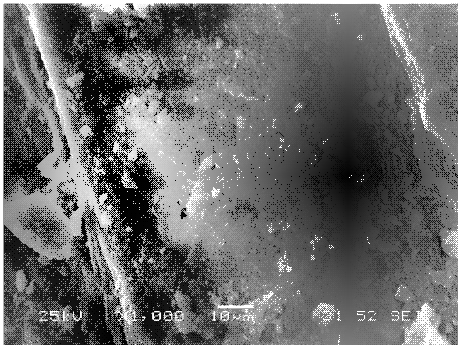 Method for preparing natural bone repairing material