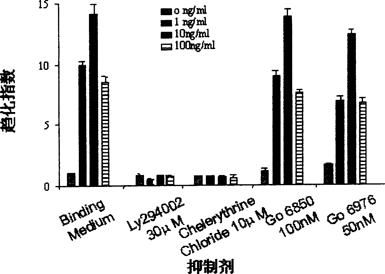 Use of protein kinase Czeta in regulating tumor cell chemotactic movement