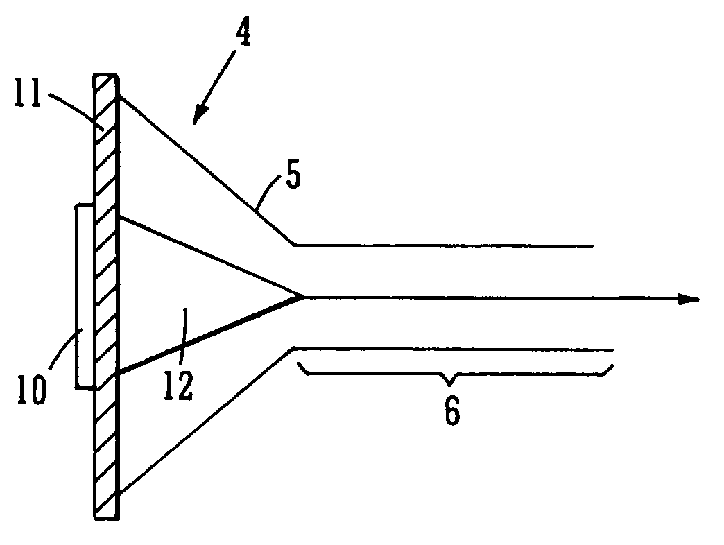 Ion detector