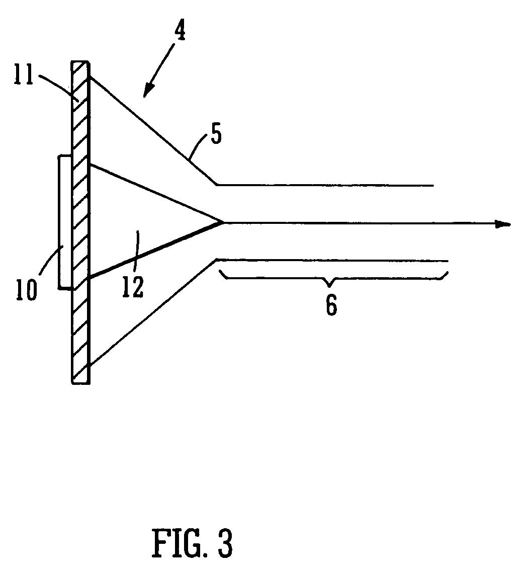 Ion detector