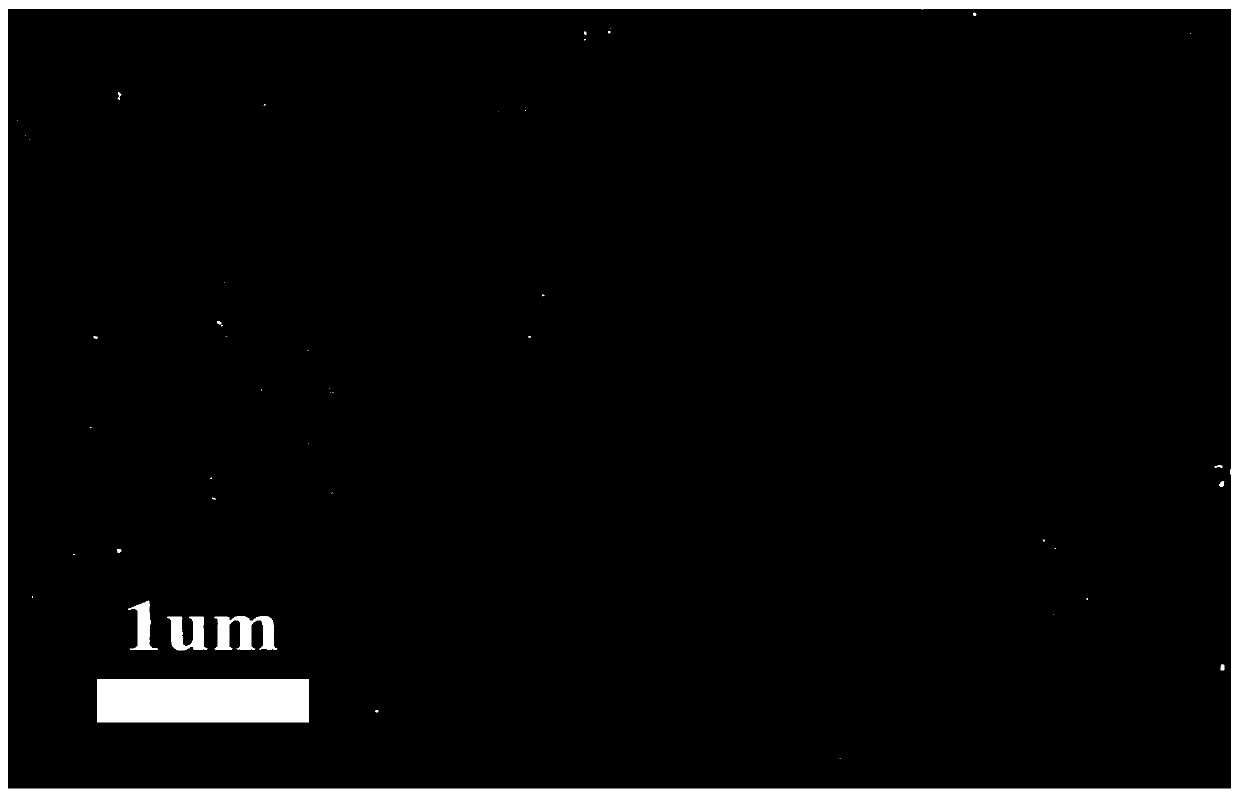 Integrated transition metal series oxygen evolution catalytic material and preparation method