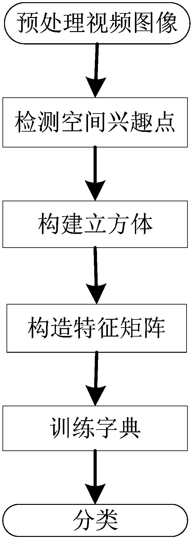 Human body motion video recognition method based on non-negative matrix factorization